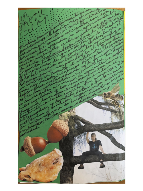 A brief introduction to the zine "Chef sin Desperdicio"